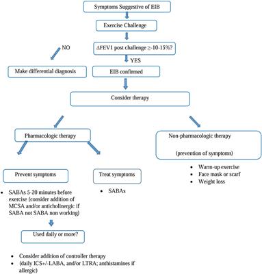 Exercise-Induced Bronchospasm and Allergy